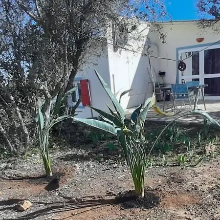 Casa Da Oliveira Alto da Cerca