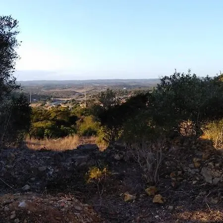 Casa Da Oliveira *