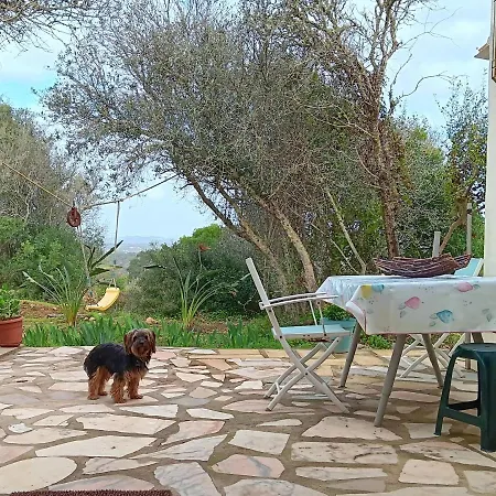 Casa Da Oliveira Holiday home