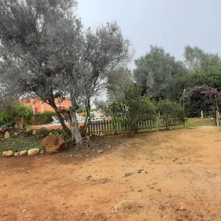 Holiday home Casa Da Oliveira