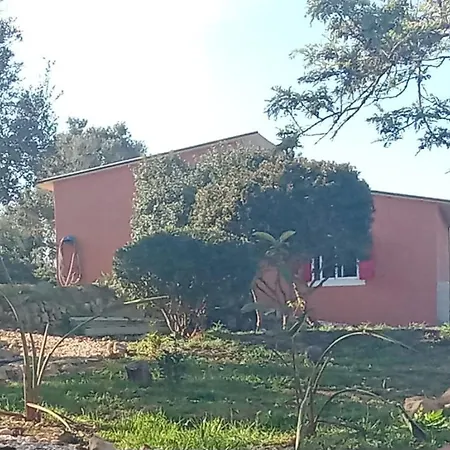 Casa Da Oliveira Dom wakacyjny Alto da Cerca