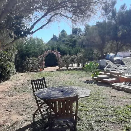 Casa Da Oliveira Dom wakacyjny Alto da Cerca