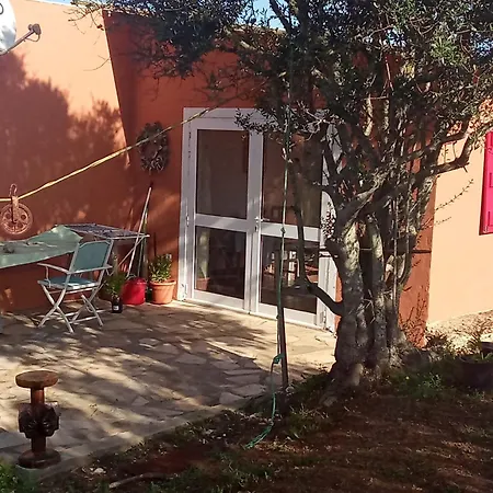 Casa Da Oliveira Alto da Cerca